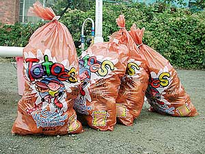 40 lbs of spuds